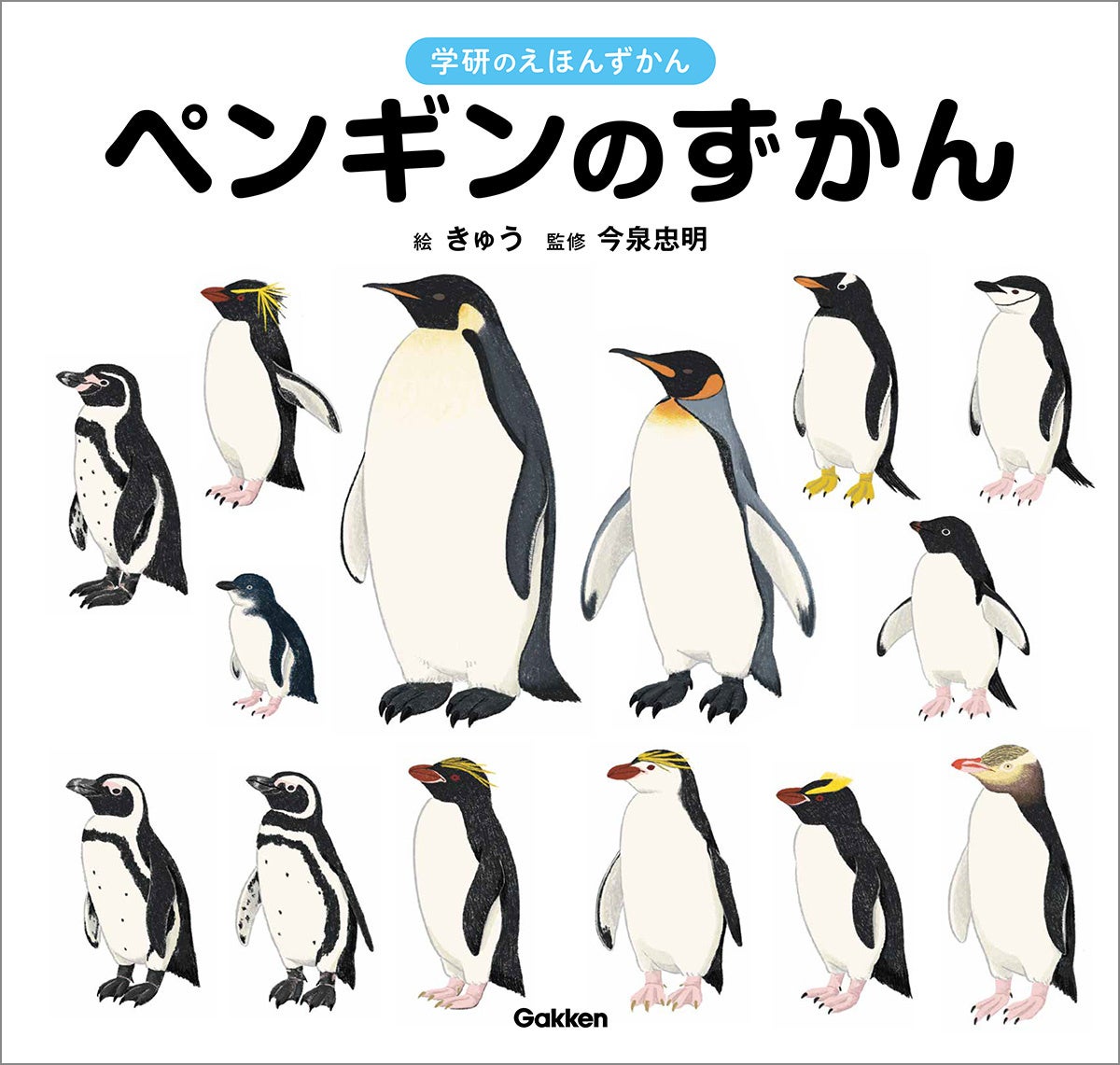▲『ペンギンのずかん』