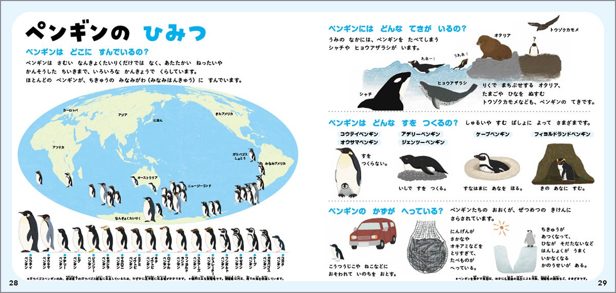 ▲ペンギンは南極以外にもいるって知ってましたか? じつは暖かい地域にもすんでいます。ペンギンのさまざまなひみつがしっかり学べます。