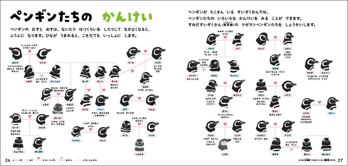 ▲卵を温めるのをさぼったり、仲良くいっしょに寝たり…、それぞれ個性があります。