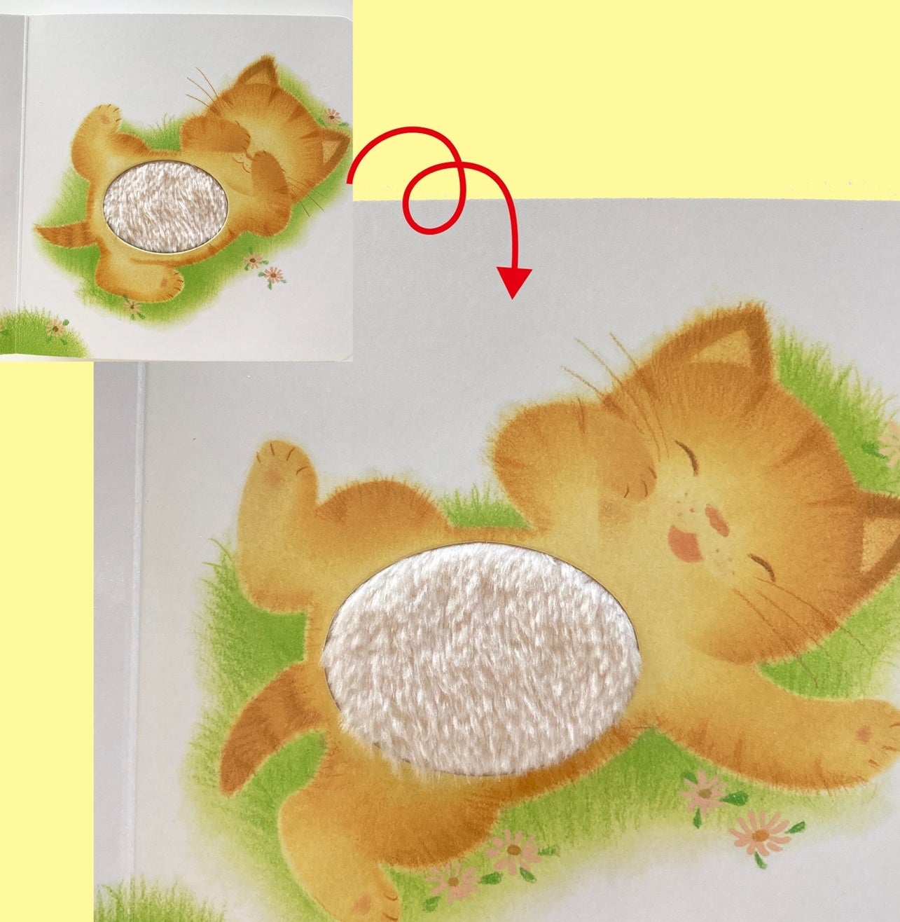 ▲『ふわふわ だあれ？』本文ページより。ねこさんのふわふわなおなか