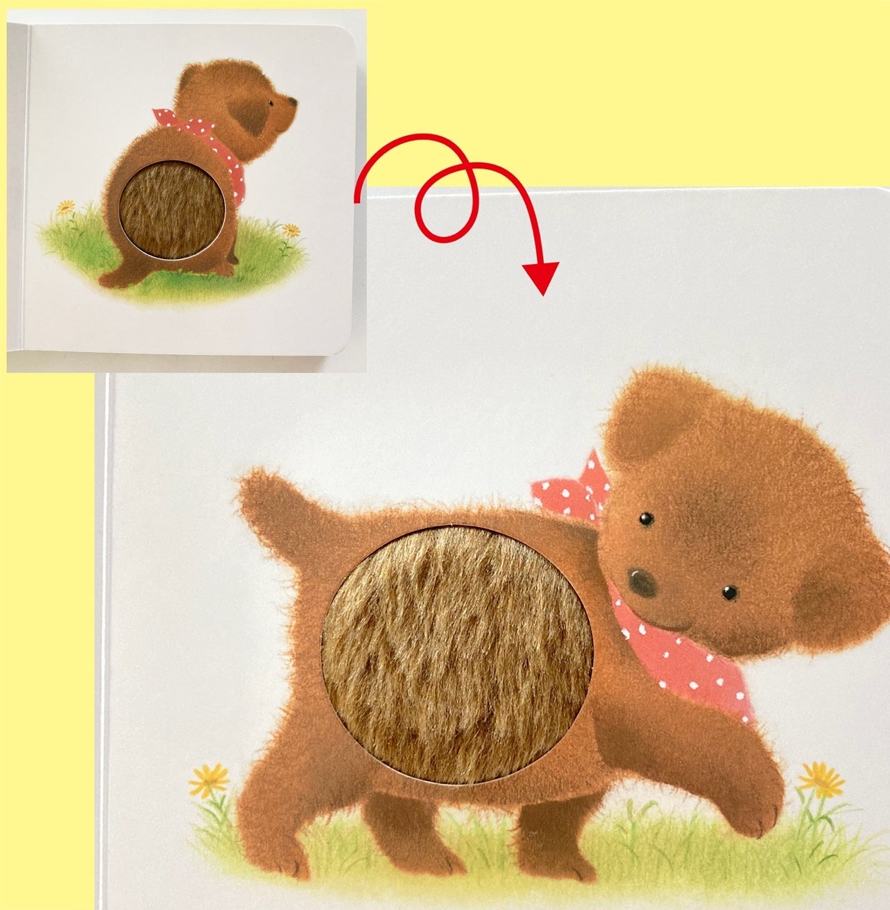 ▲『ふわふわ だあれ？』本文ページより。いぬさんのふわふわな背中