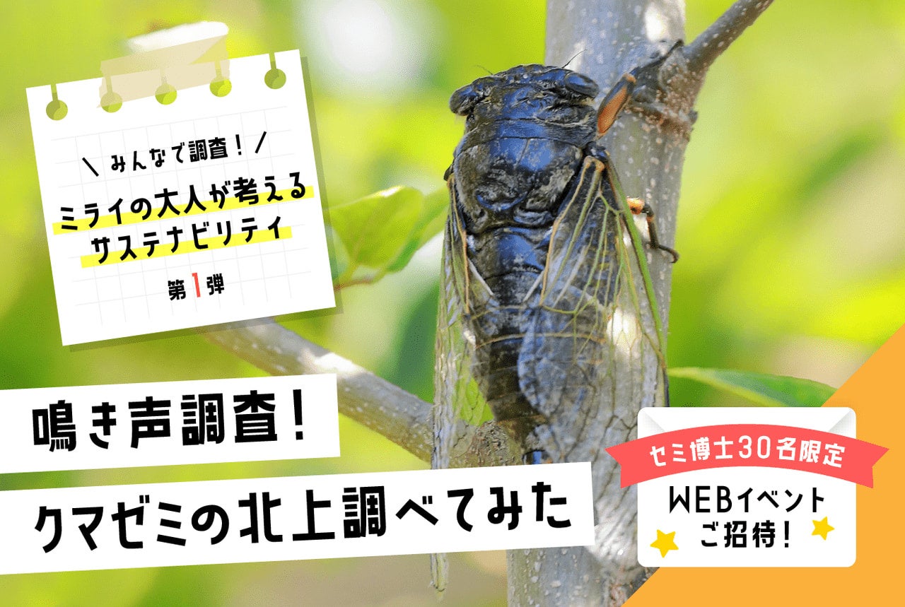 参加無料】子ども達目線で未来を見つめる！ 子どもを主人公に