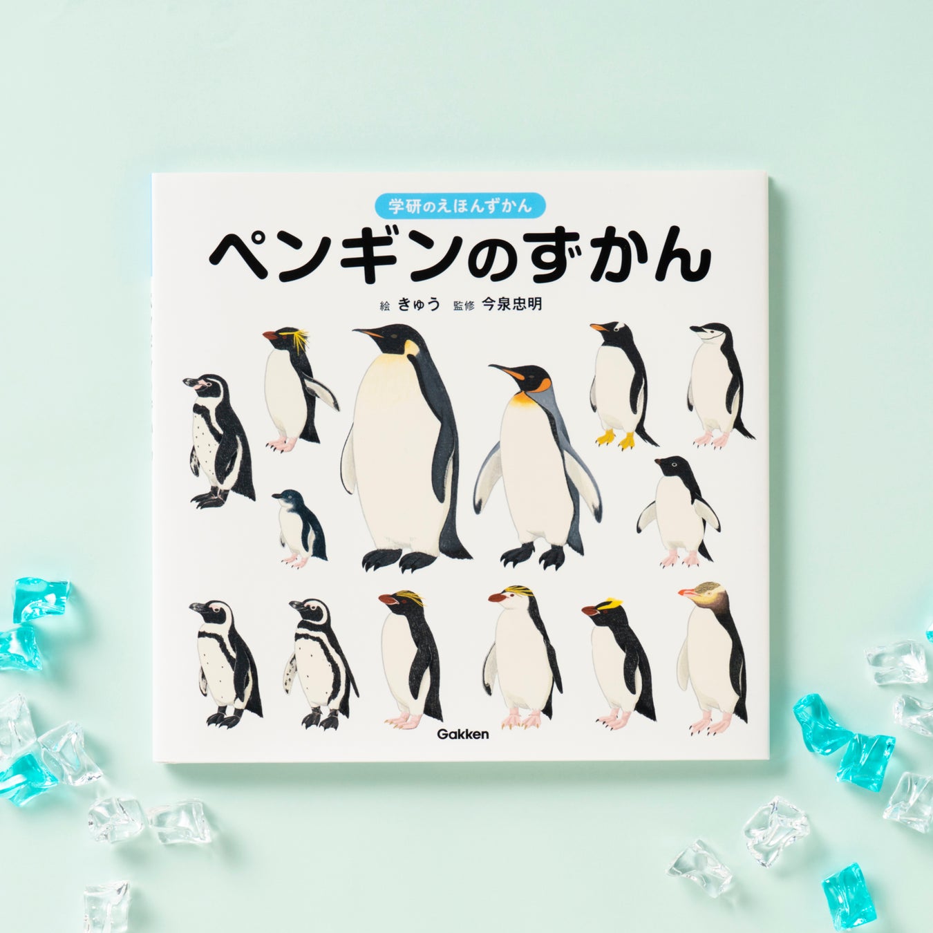 ▲『学研のえほんずかん ペンギンのずかん』