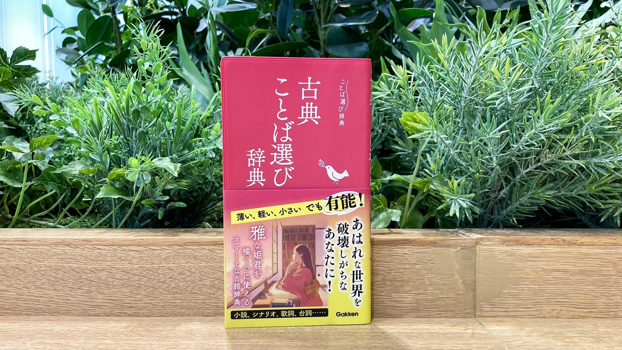 ▲ 『古典ことば選び辞典』表紙。画像では伝えきれぬ、趣深き赤をご堪能くださいませ。