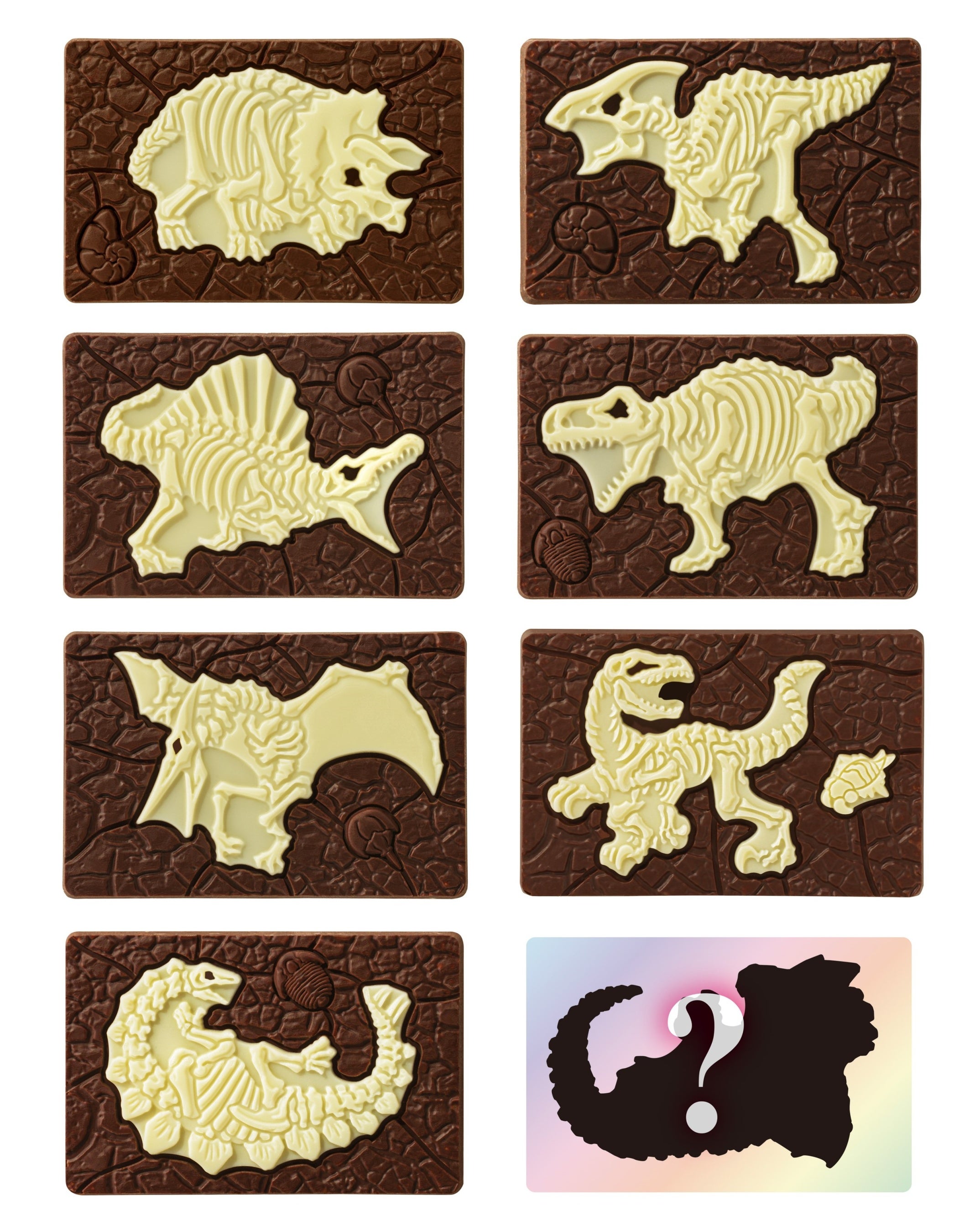 ▲何が出るかは袋を開けてのお楽しみ♪