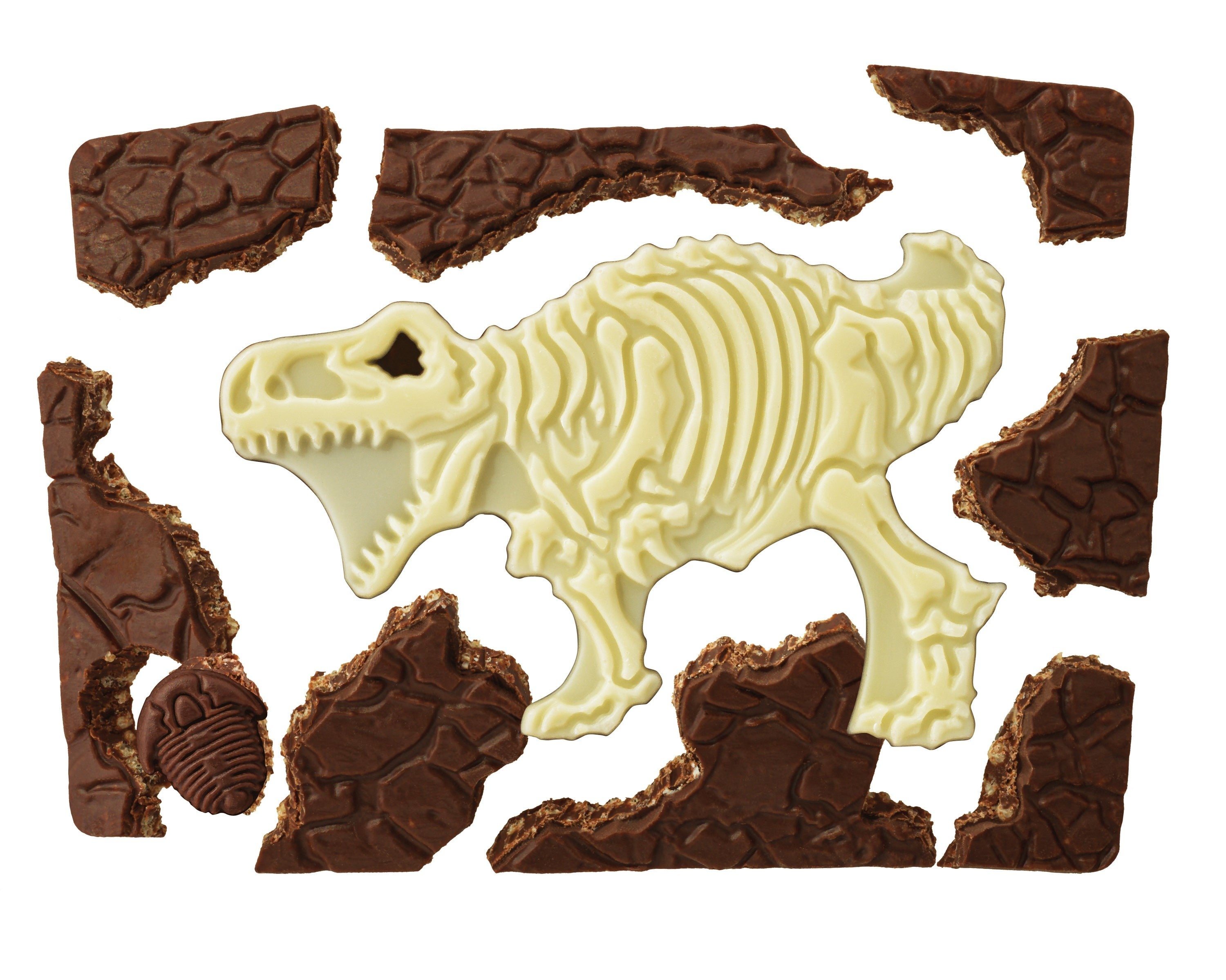 ▲パキパキ割って上手に発掘できるかな？