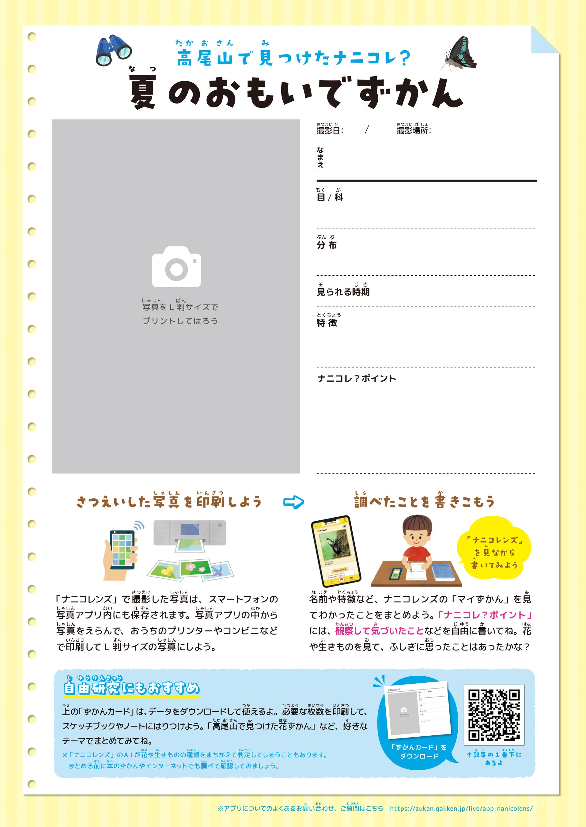 ▲夏のおもいでずかん（ワークシート）