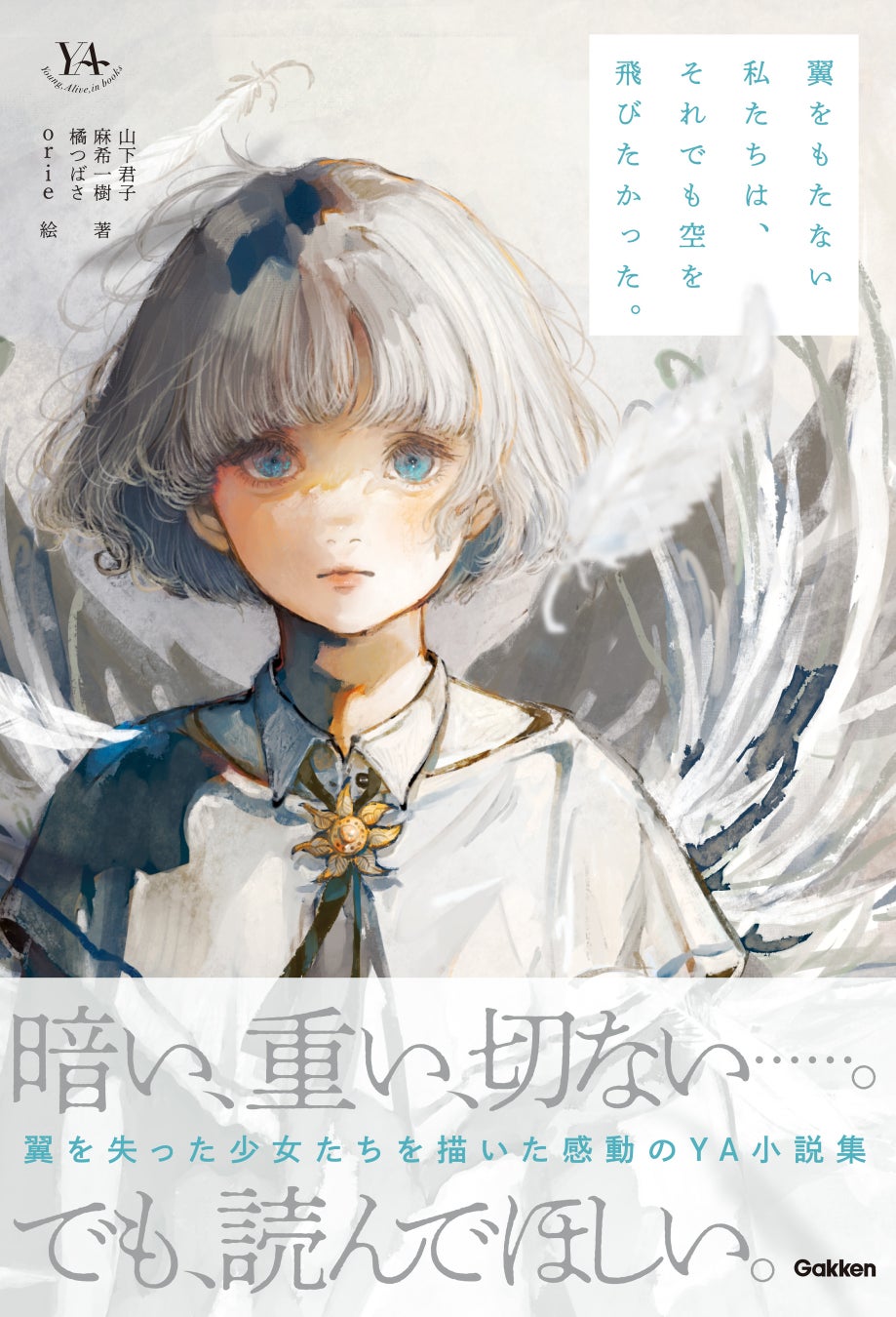 ▲『翼をもたない私たちは、それでも空を飛びたかった。』