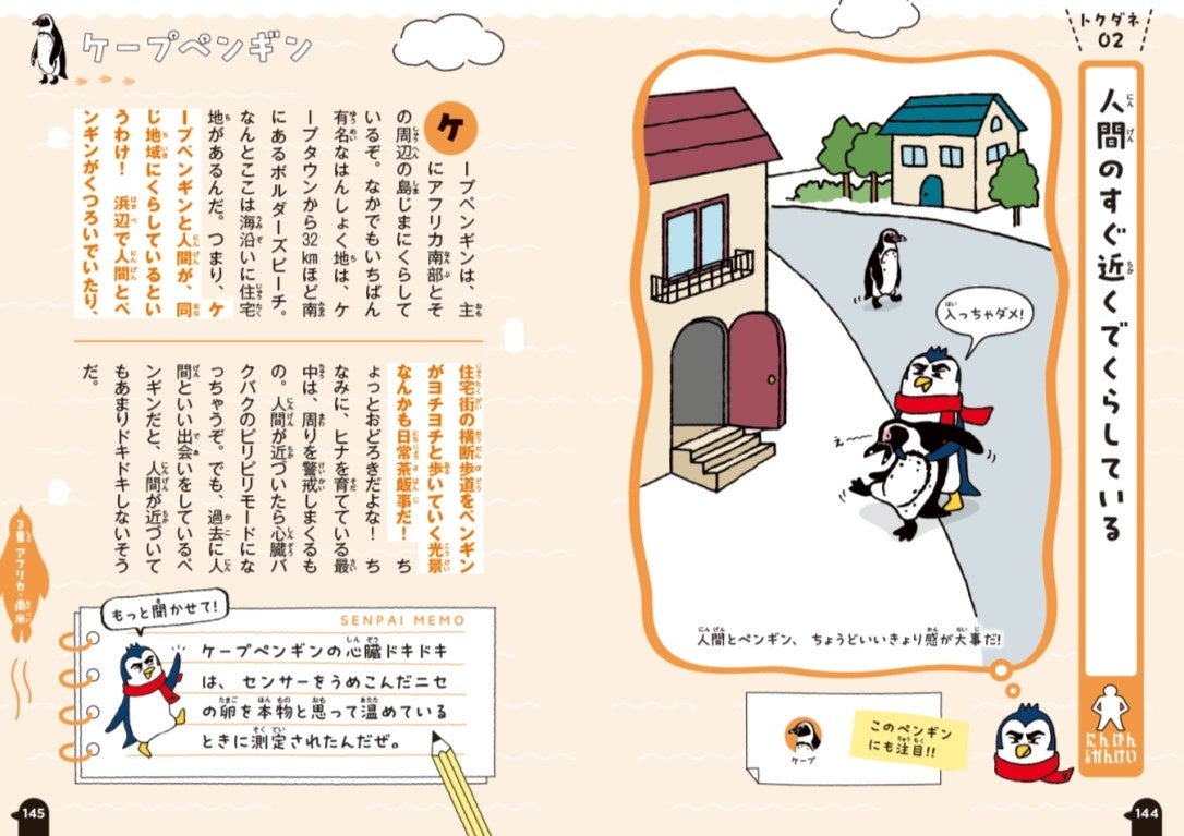 ▲３章　ケープペンギンの生態パート