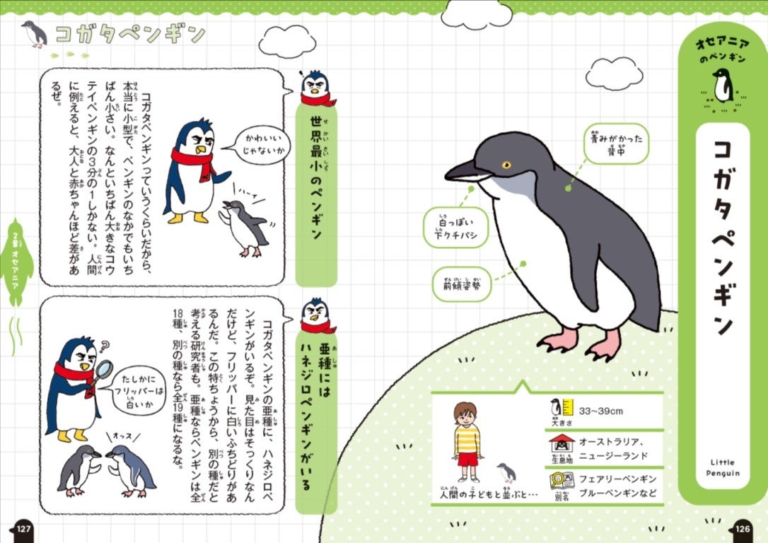 ▲２章　コガタペンギンの図鑑パート