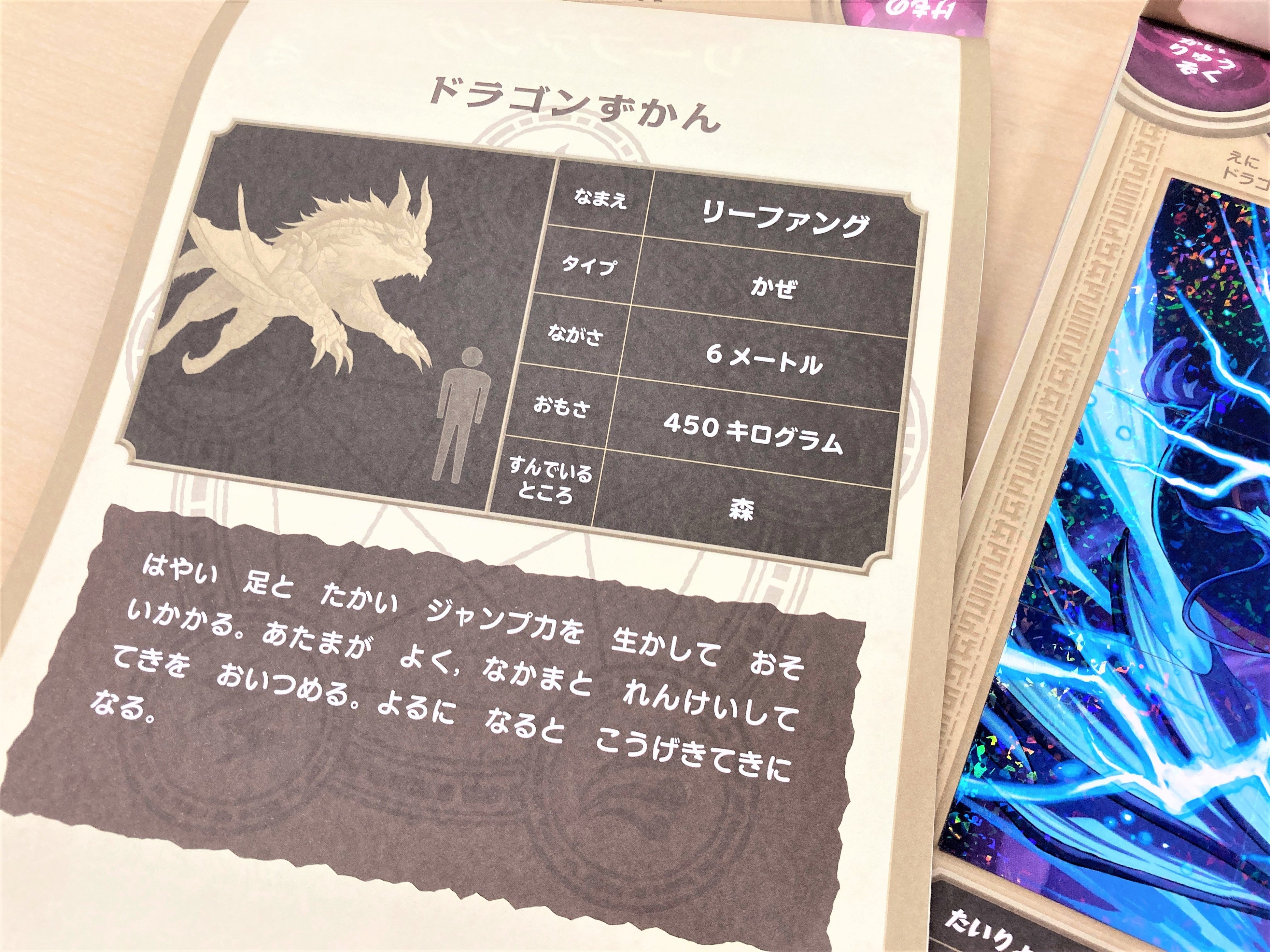 ▲「ドラゴンずかん」にはワクワクするドラゴンの情報が満載！