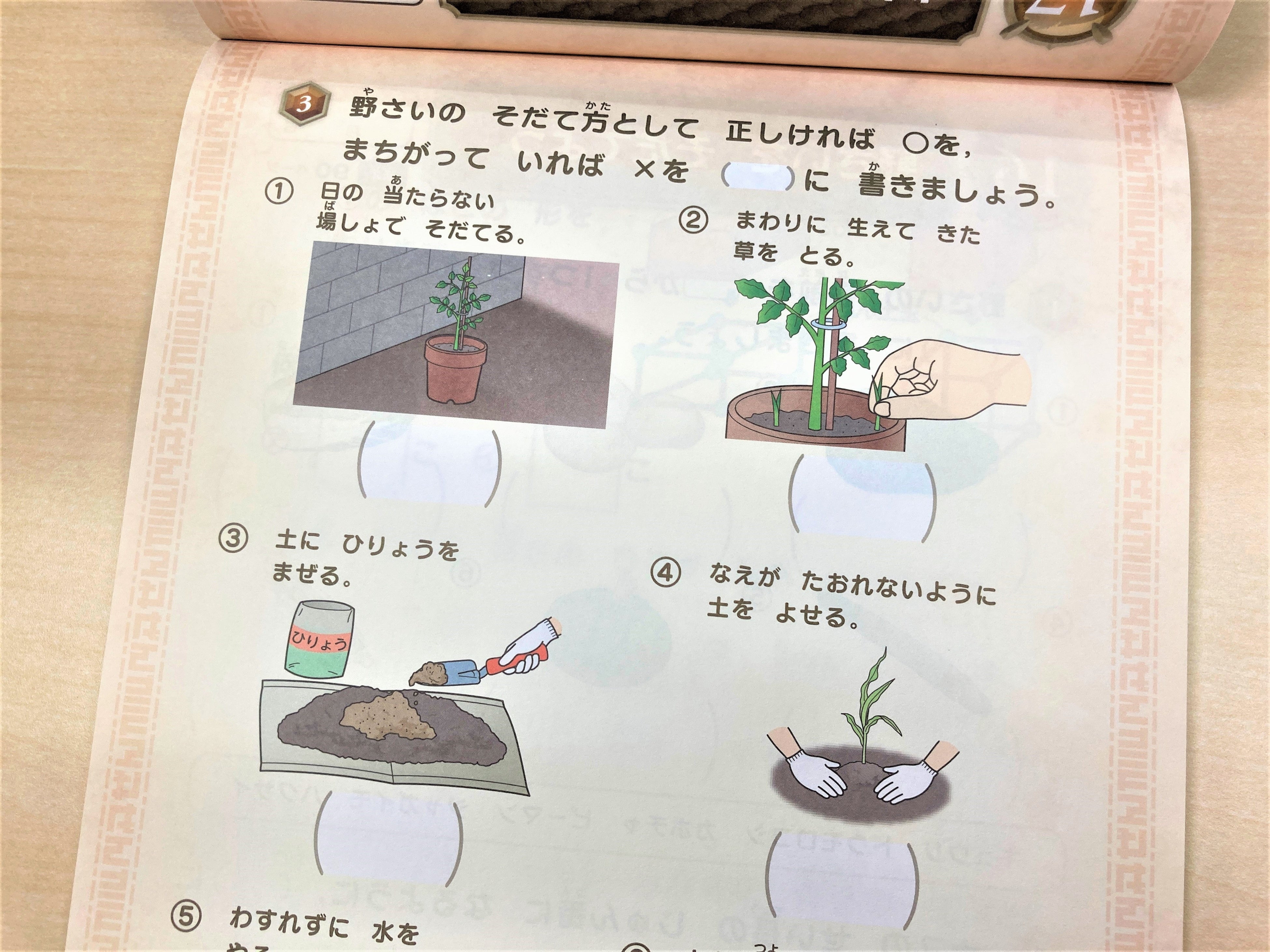 ▲小1・小２で学習する「生活」も学べます。