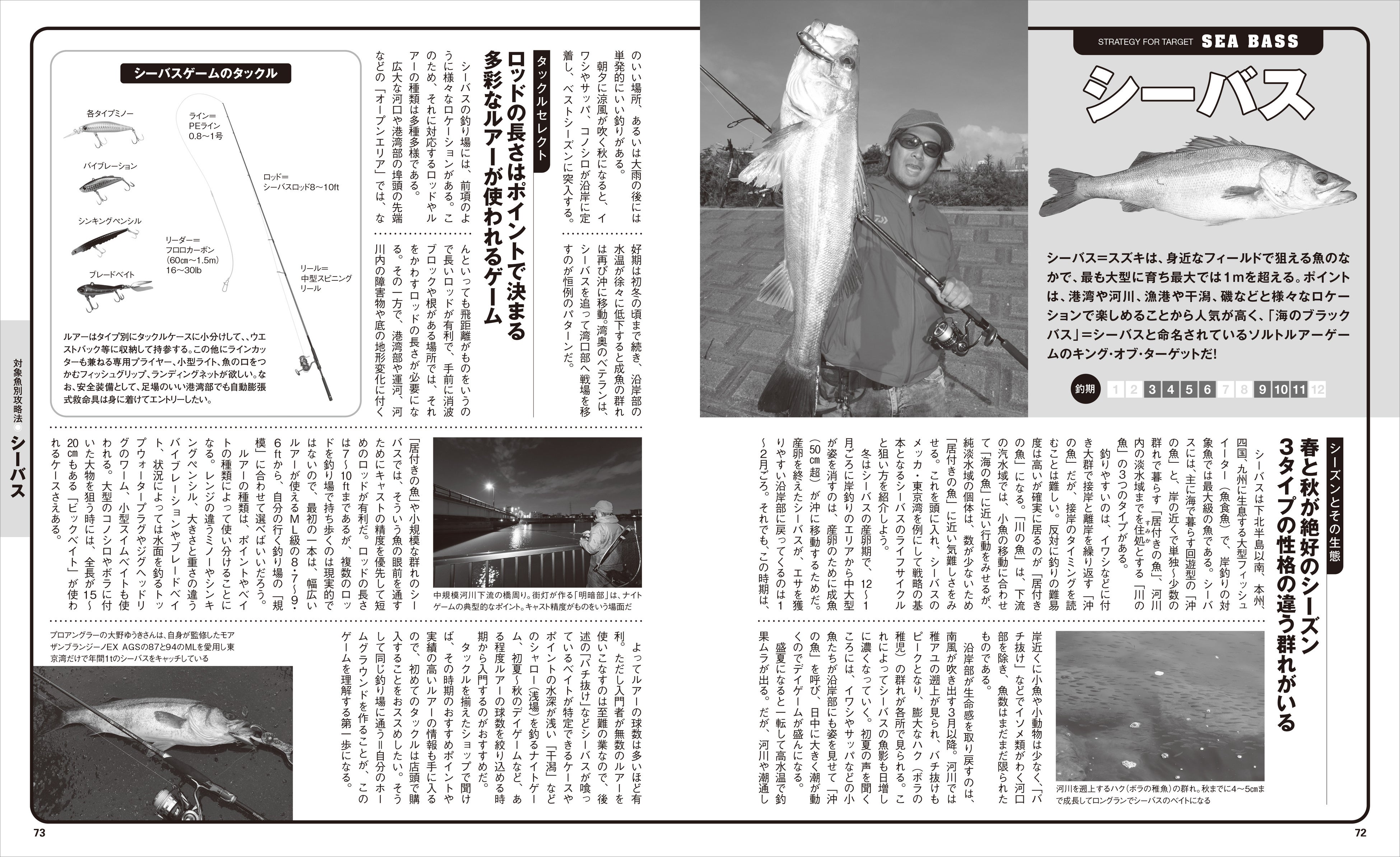 ▲港湾や河川、漁港や干潟、磯など様々なロケーションで楽しめることから人気の高いソルトルアーゲームのキング・オブ・ターゲット、シーバス＝スズキなど、対象魚別の攻略法もバッチリ