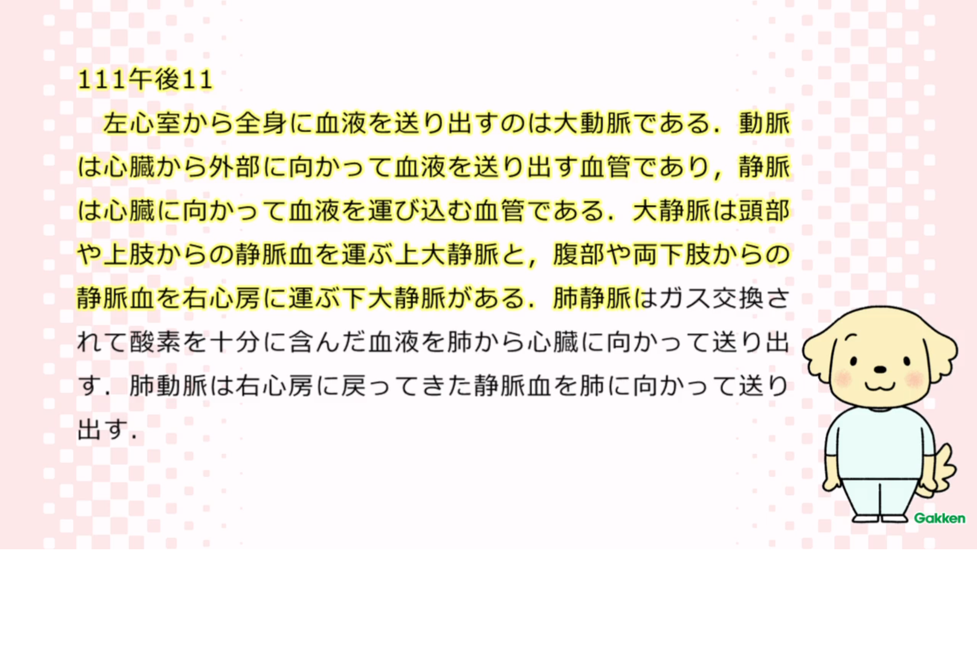 ▲1分動画で目と耳で学習ができます