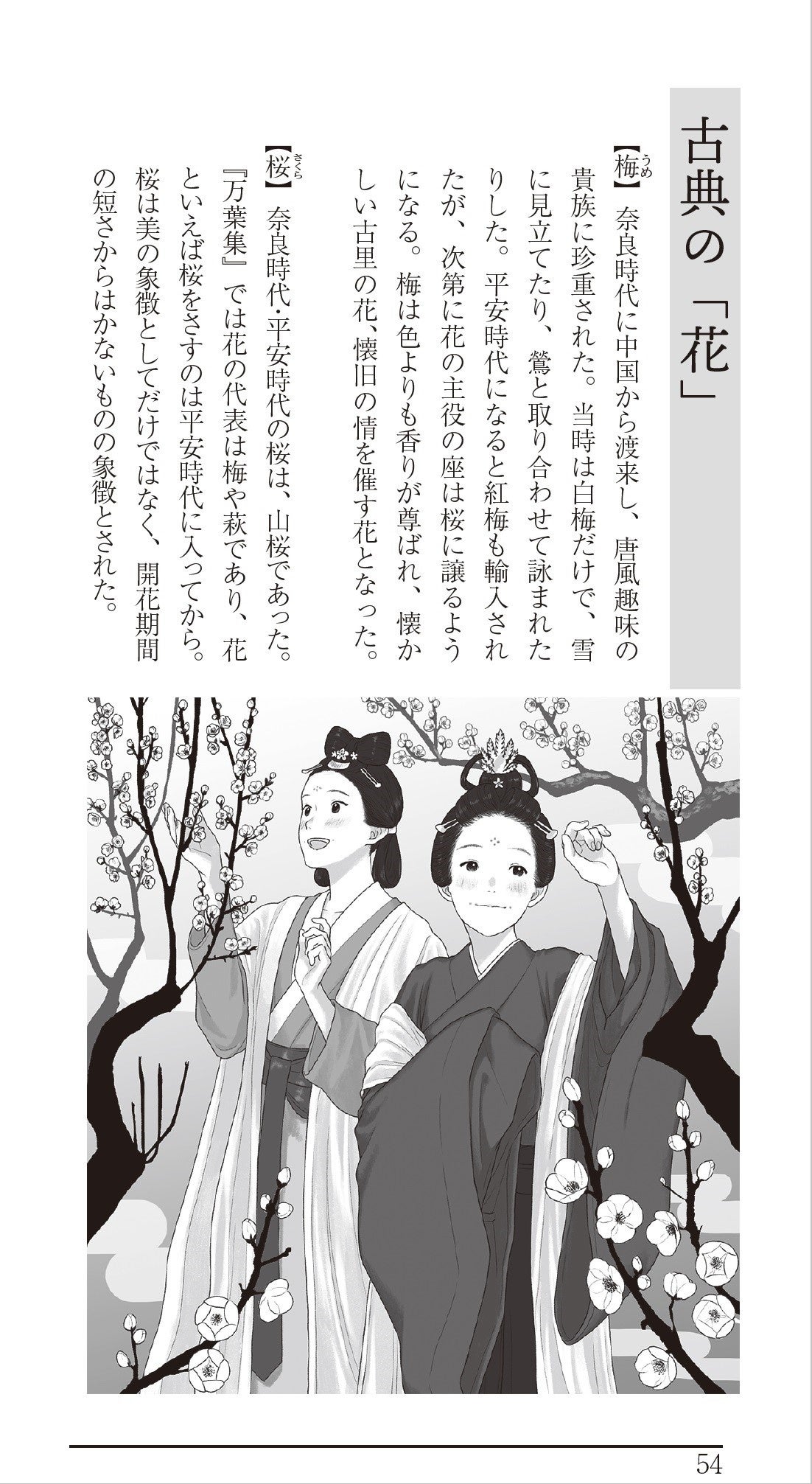 ▲古典の世界をより深められるコラムもイラスト入りで掲載。「へー！」満載です