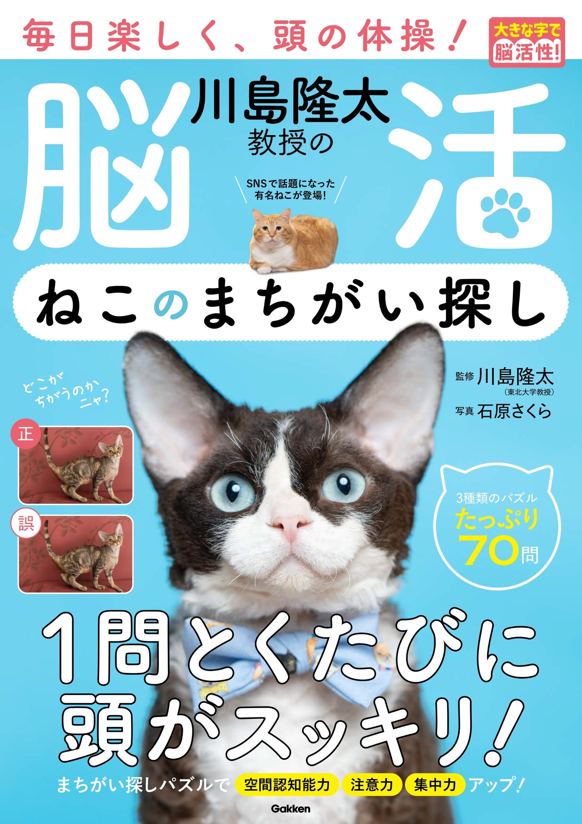 【ねこの写真で脳トレ！】川島隆太教授の最新脳活シリーズ『ねこのまちがい探し』発売！