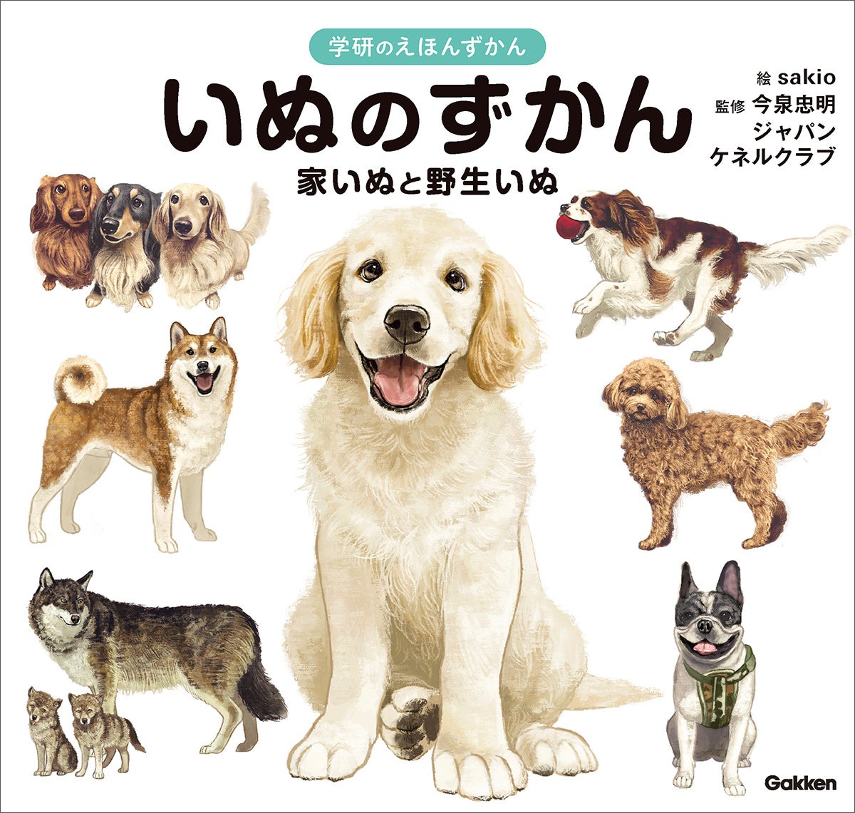 【ねこ好き・犬好き必見！】絵本のような図鑑『ねこのずかん 家ねこと野生ねこ』『いぬのずかん 家いぬと野生いぬ』予約受付中！