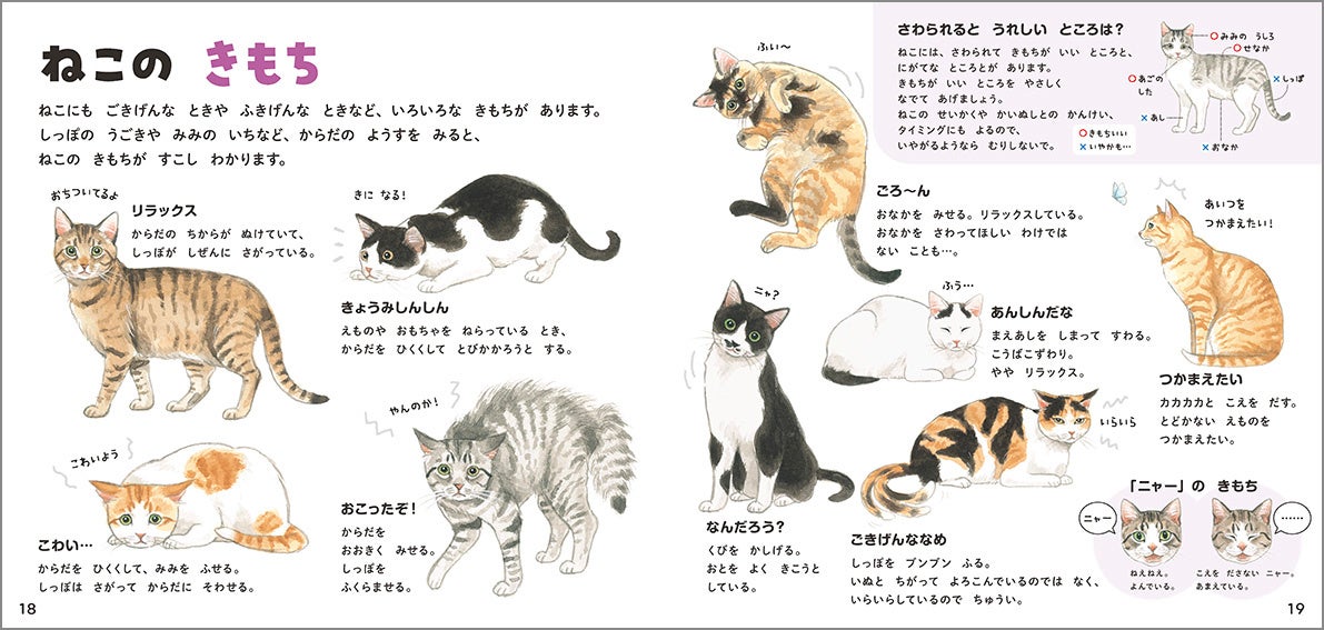 『ねこのずかん 家ねこと野生ねこ』発売！もふもふだらけの絵本のような図鑑