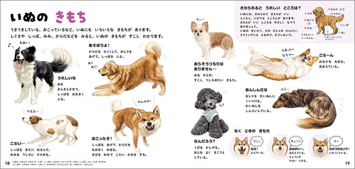 リアルかわいいイラストで学べる！犬の図鑑2024年発売