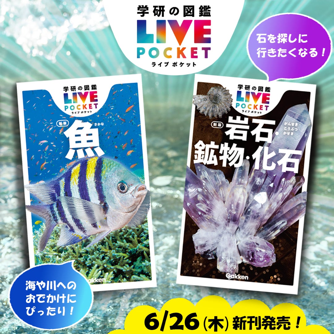 お散歩やアウトドアのおともに!】『学研の図鑑LIVEポケット 魚 新版 お散歩やアウトドアのおともに!】『学研の図鑑LIVEポケット 魚 新版