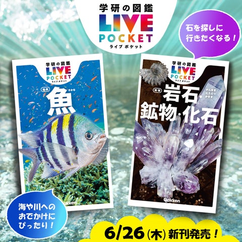 お散歩やアウトドアのおともに!】『学研の図鑑LIVEポケット 魚 新版 お散歩やアウトドアのおともに!】『学研の図鑑LIVEポケット 魚 新版