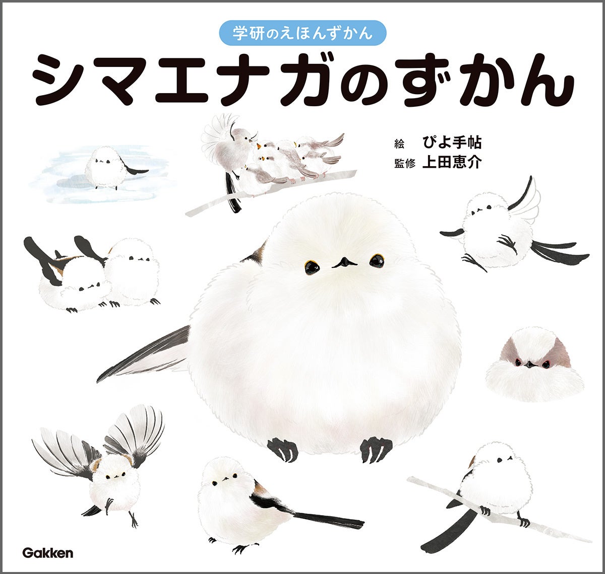 シマエナガ好きに朗報!】1冊まるごとシマエナガ! 可愛すぎる シマエナガ好きに朗報!】1冊まるごとシマエナガ! 可愛すぎる