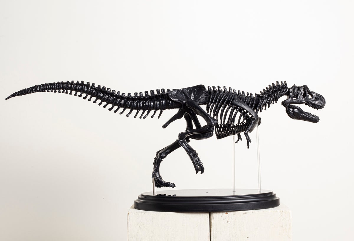 発売前に恐竜模型・マジック・魔法の杖を体験 学研の新シリーズ『学研の科学と学習プレイ』が小学生モニター30名を募集