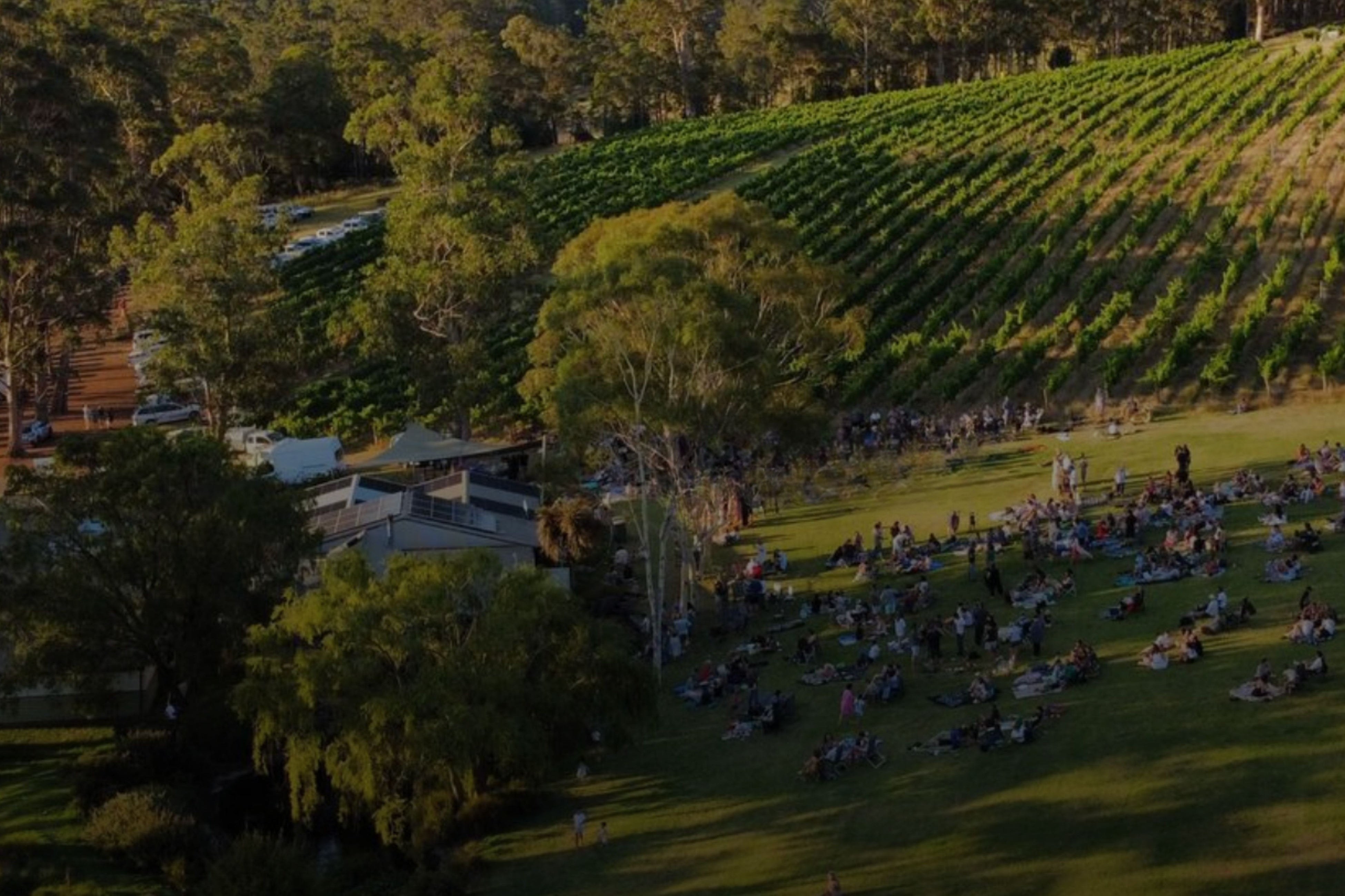 写真：ロッククリフ・ワイナリーと自社畑