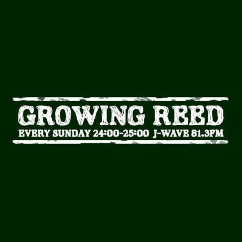 岡田准一ナビゲート、J-WAVE『GROWING REED』放送20周年記念“知の巨人 岡田准一ナビゲート、J-WAVE『GROWING REED』放送20周年記念“知の巨人
