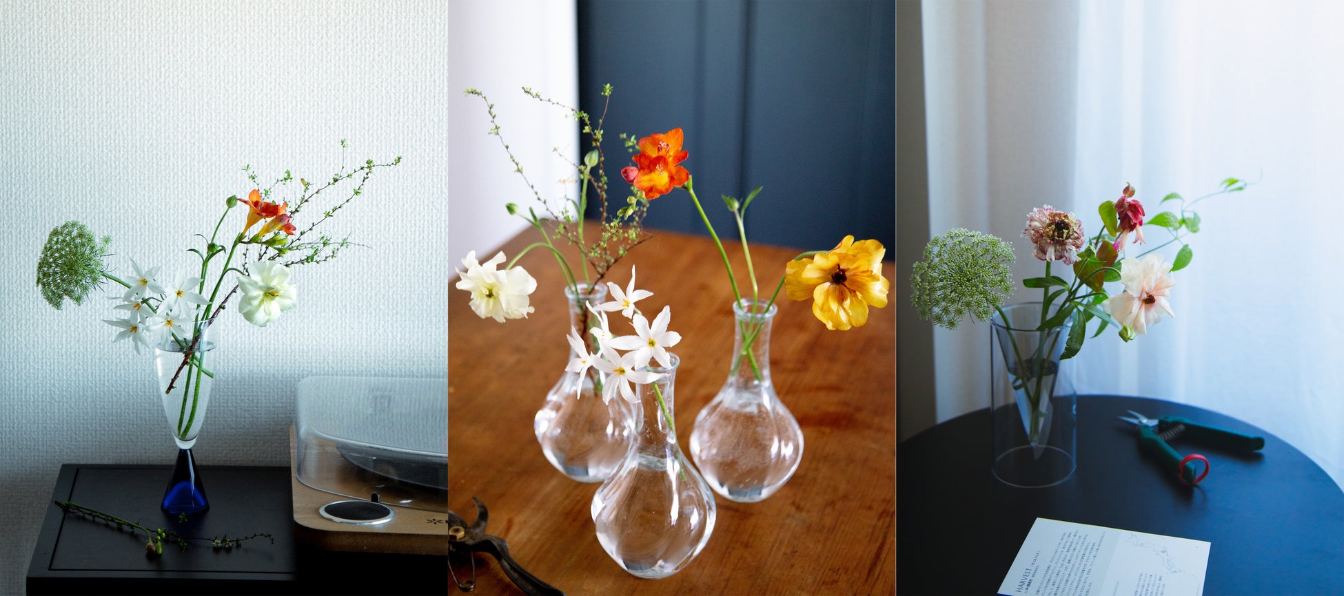 気軽に上質な 花のある暮らし を始めるきっかけに 洗練されたお花5種類が隔週で届く Lifft定期便ライト 提供開始 Botanic Inc のプレスリリース 気軽に上質な 花のある暮らし を始めるきっかけに 洗練されたお花5種類が隔週で届く Lifft定期便ライト 提供開始 Botanic Inc のプレスリリース