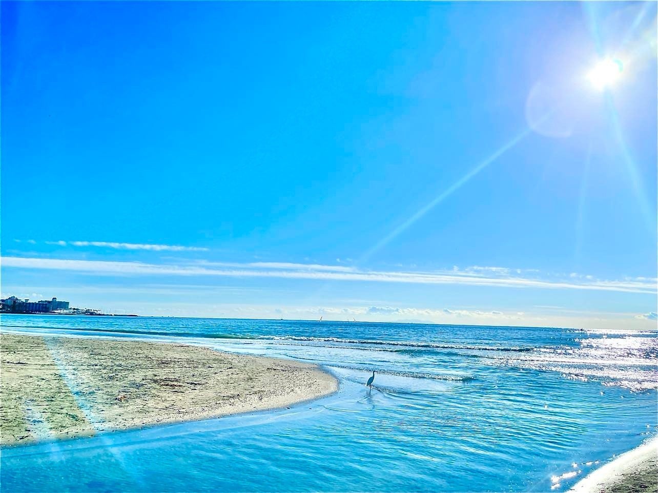 アモルフ鎌倉店から徒歩７分の由比ガ浜