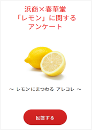 アンケート実施