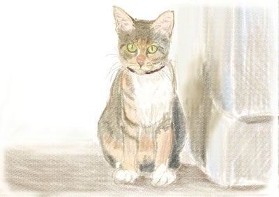 第一話のラフ イラスト