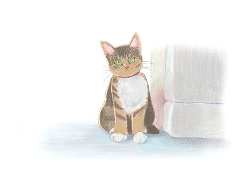 エンドイラスト