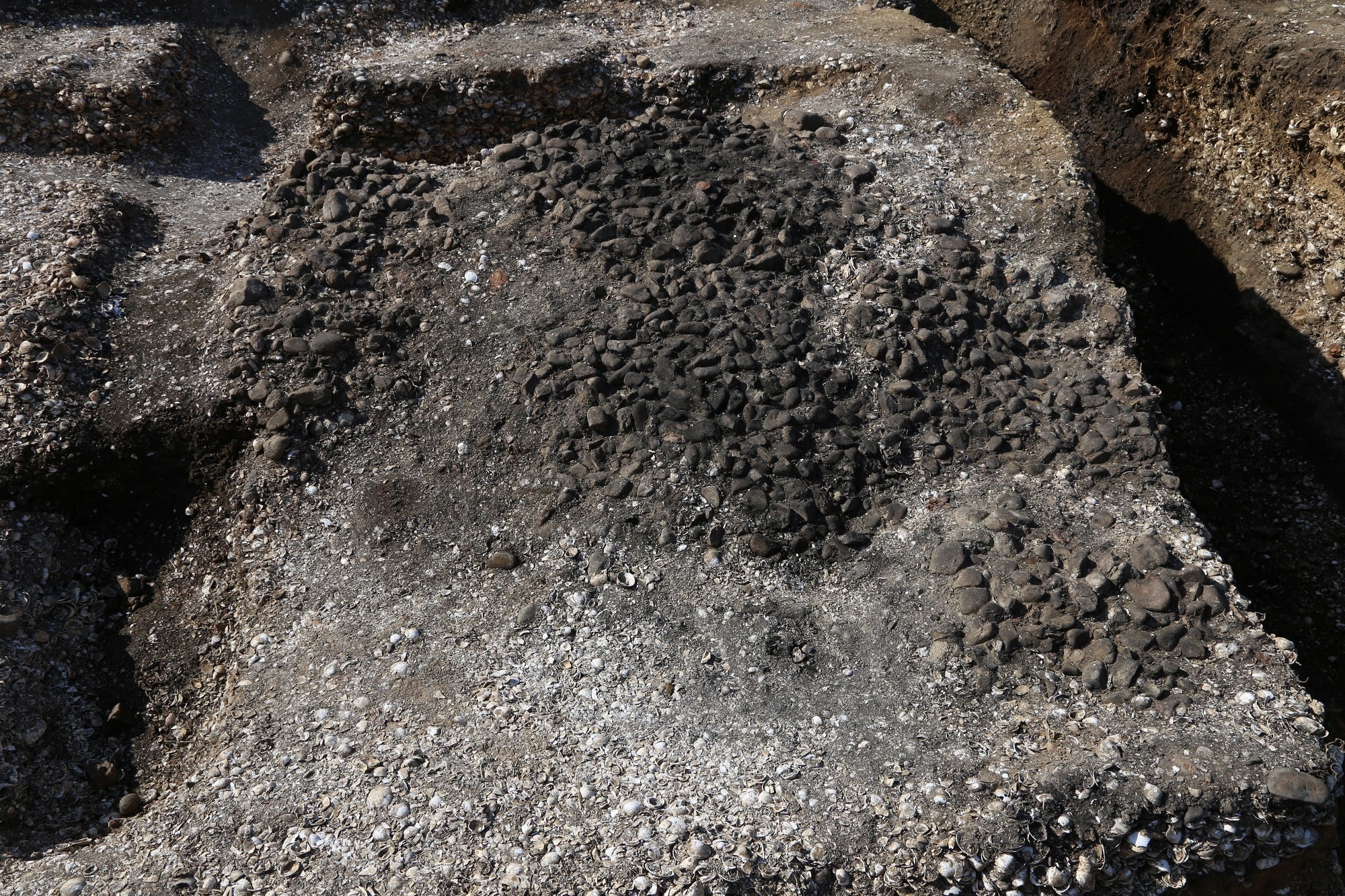 豊橋の巨大貝塚は干し貝を大量生産した痕跡？－縄文時代の魅力を深掘り