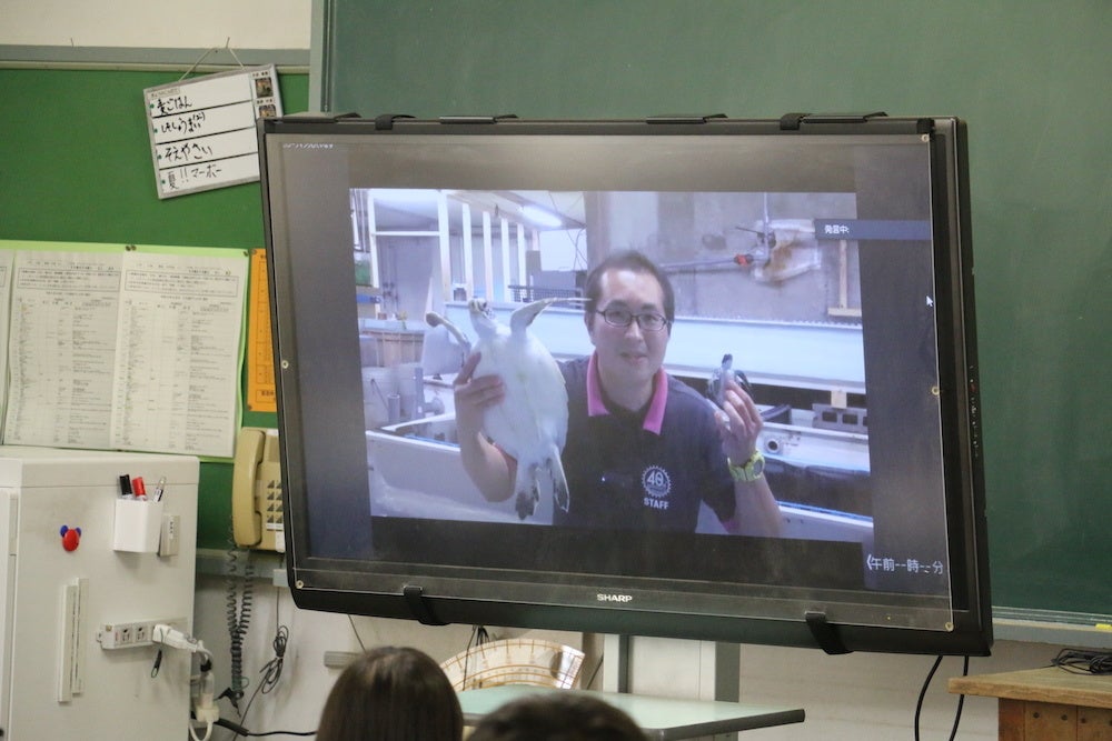 アカウミガメを見せる飼育員さん