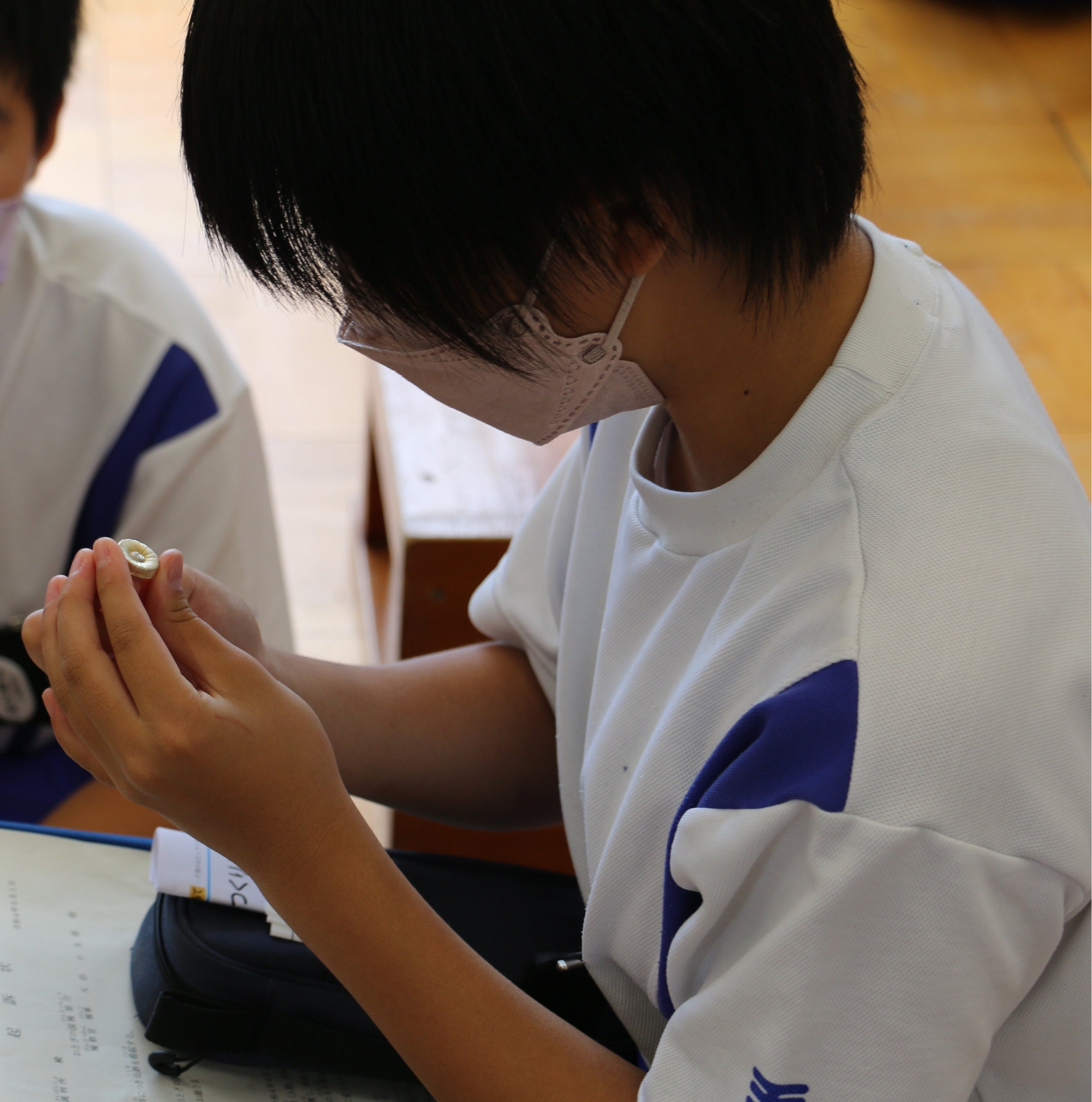 弁護士バッジを見る児童