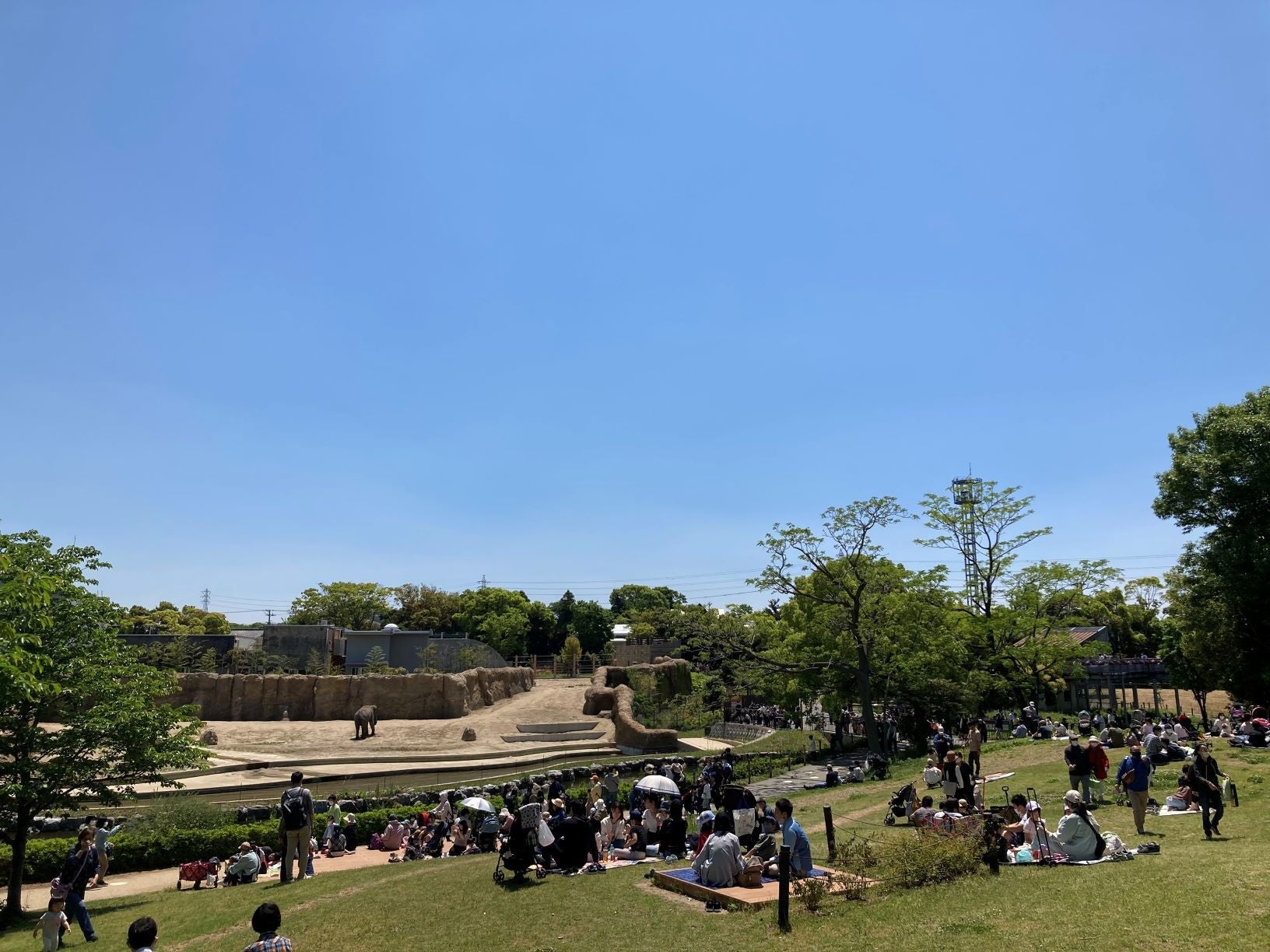 市内外の人に親しまれているのんほいパーク