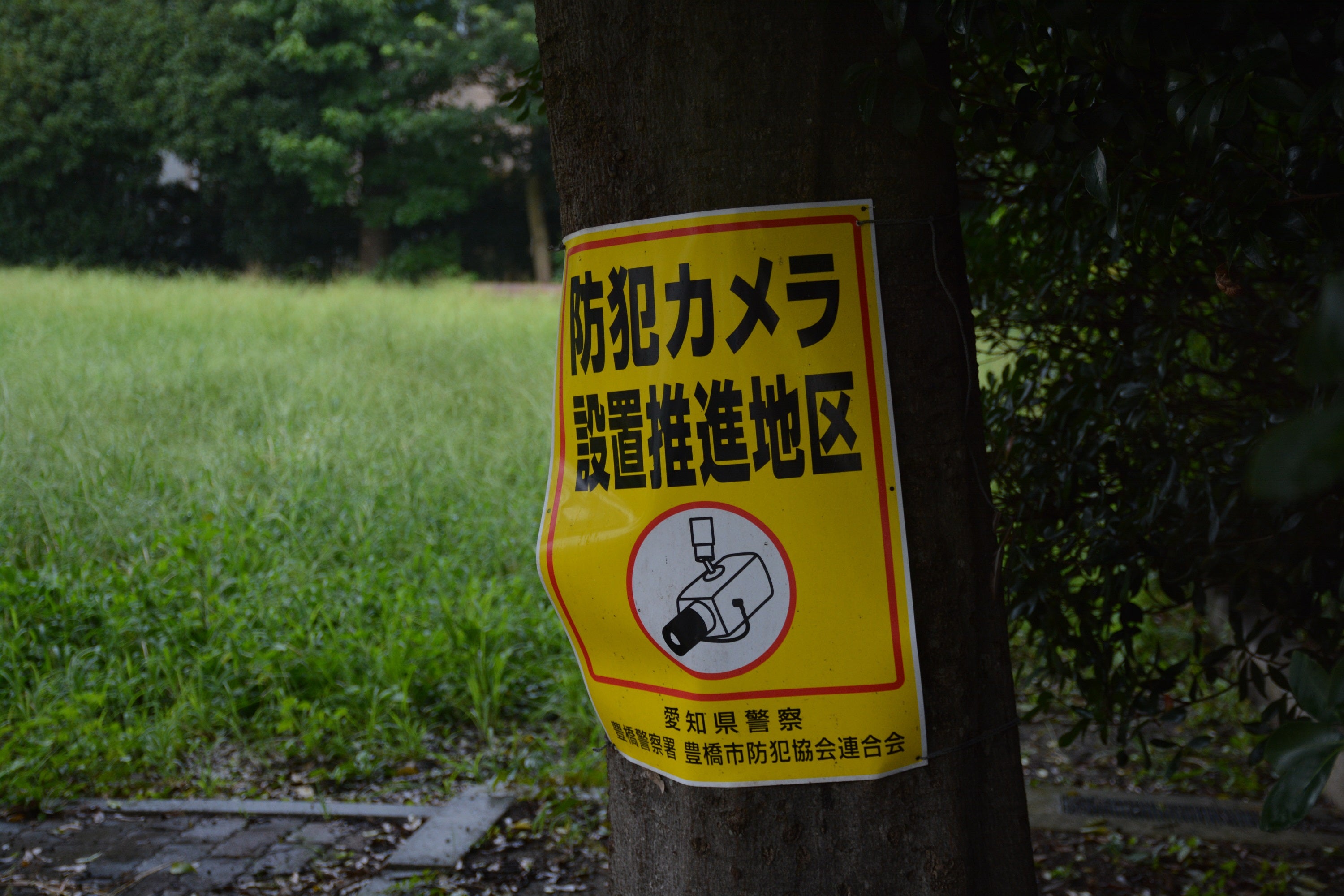 防犯プレートは木の影に隠れて見にくくなっていた