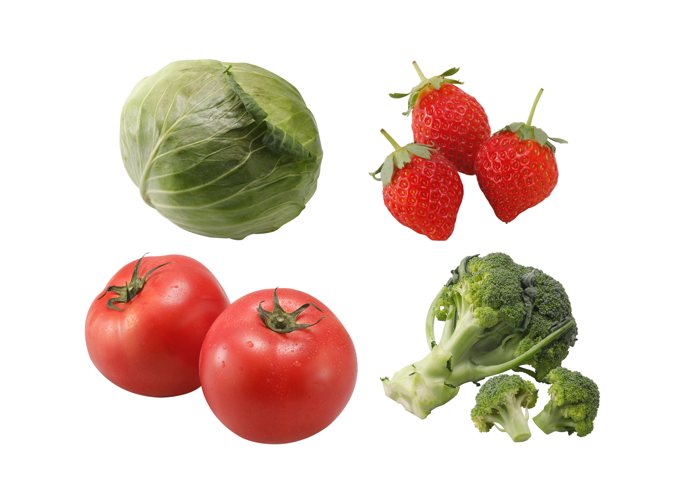 新鮮な豊橋産の農産物