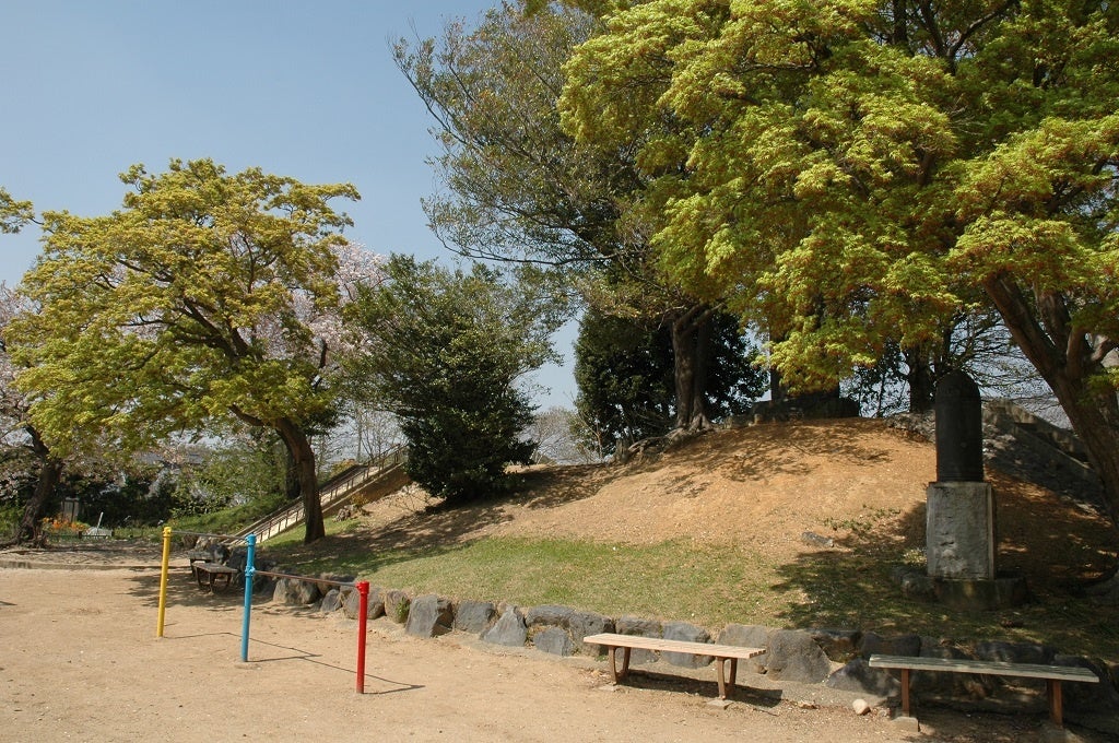 調査前の三ツ山古墳