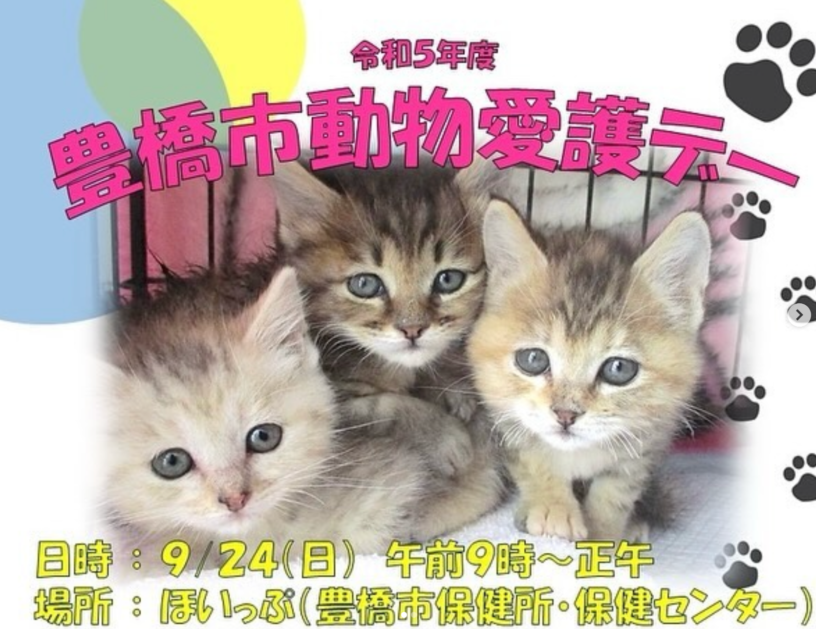 動物愛護センター（仮称）開所に向け、愛知県豊橋市が保護犬・猫の