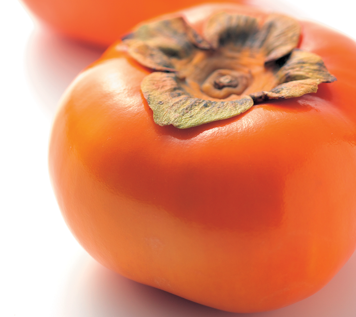 豊橋の秋の味覚