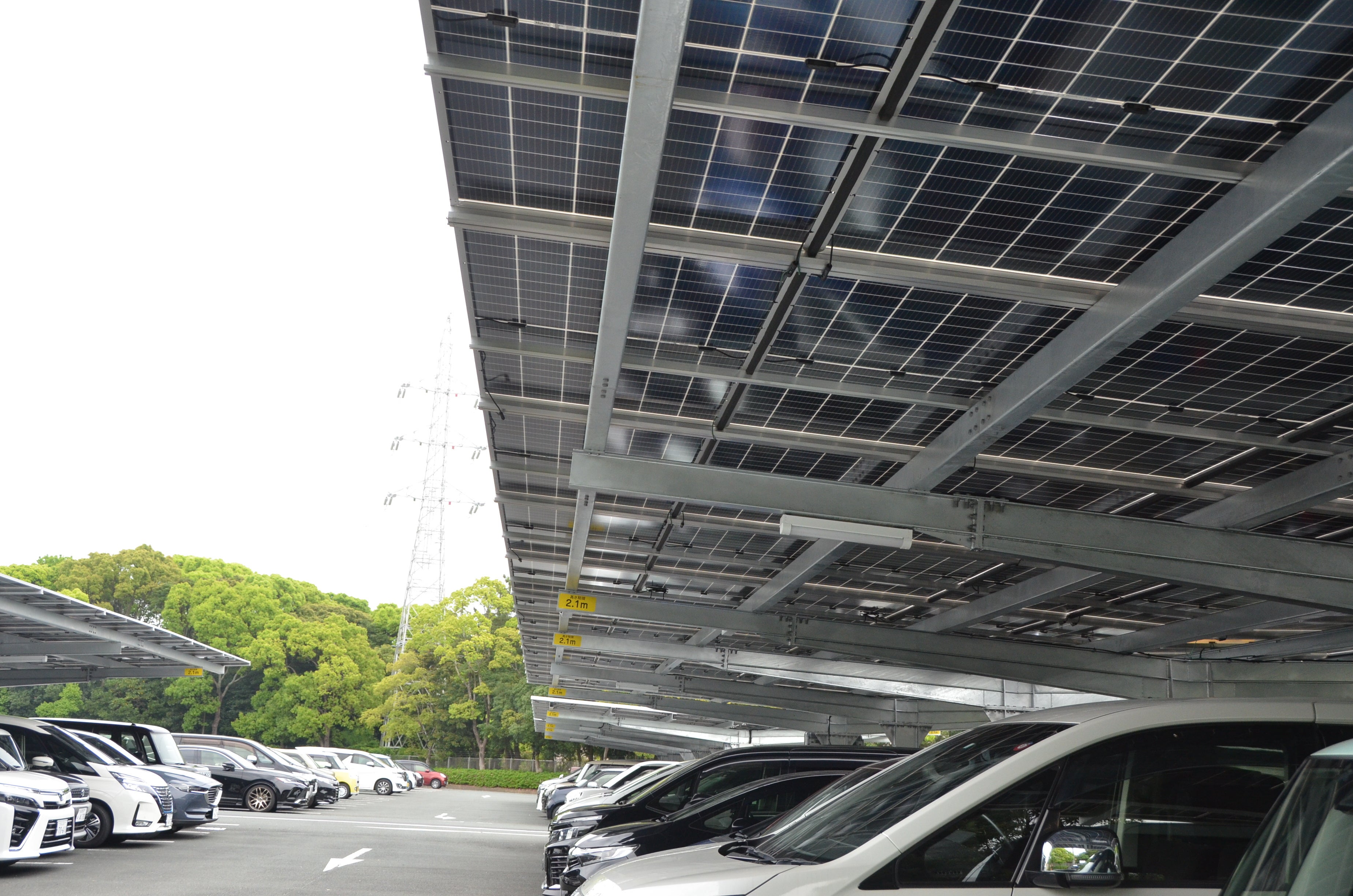 動植物園に設置したソーラーカーポート