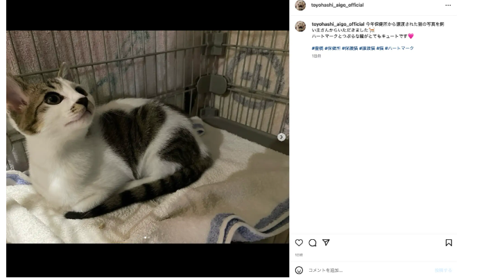 Instagram公式アカウントの投稿の様子