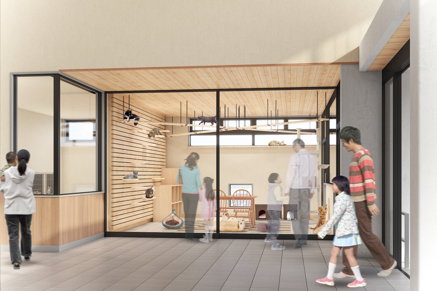 猫モデルルーム