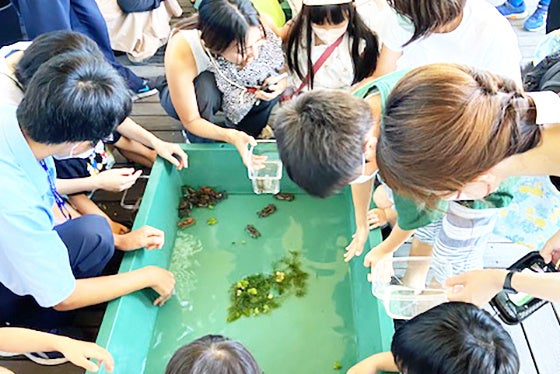 水生生物ふれあいコーナー