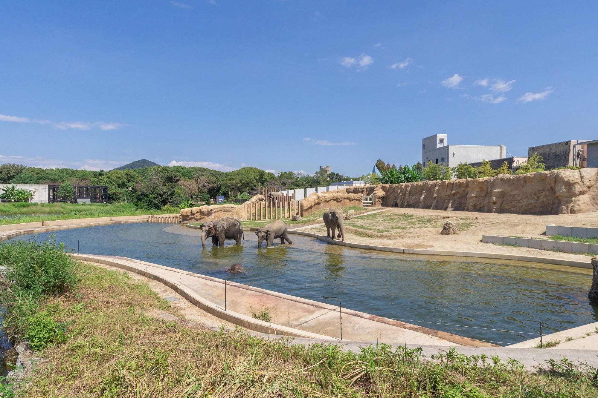 のんほいパーク（豊橋総合動植物公園）