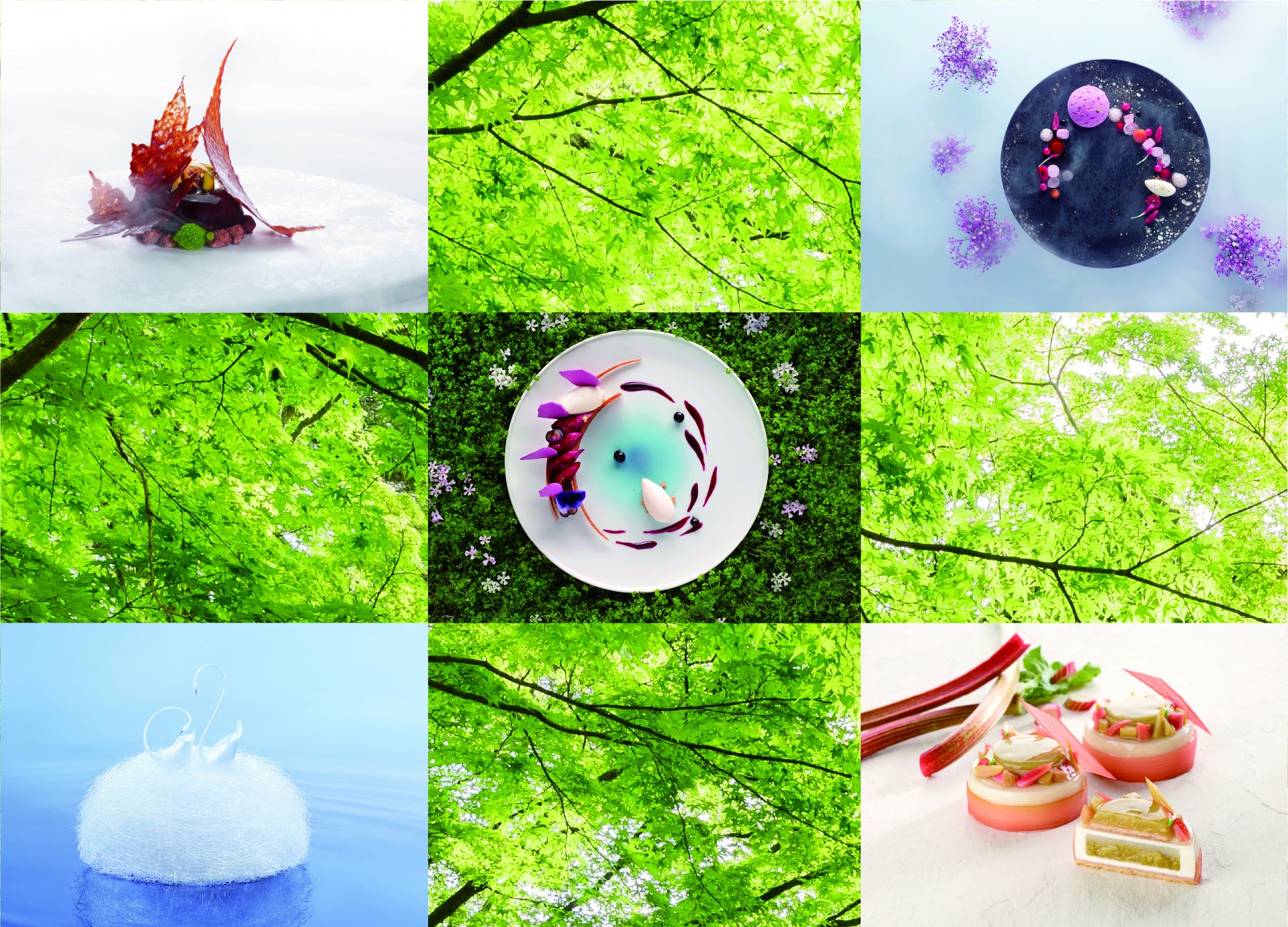 長江桂子シェフの今までの作品例です。今回の特別企画では新作を発表します。