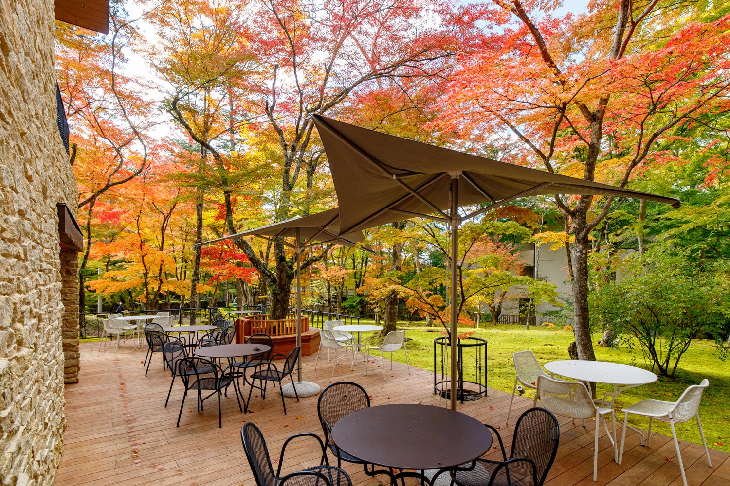 秋の軽井沢に向き合った新作デザートを開発予定